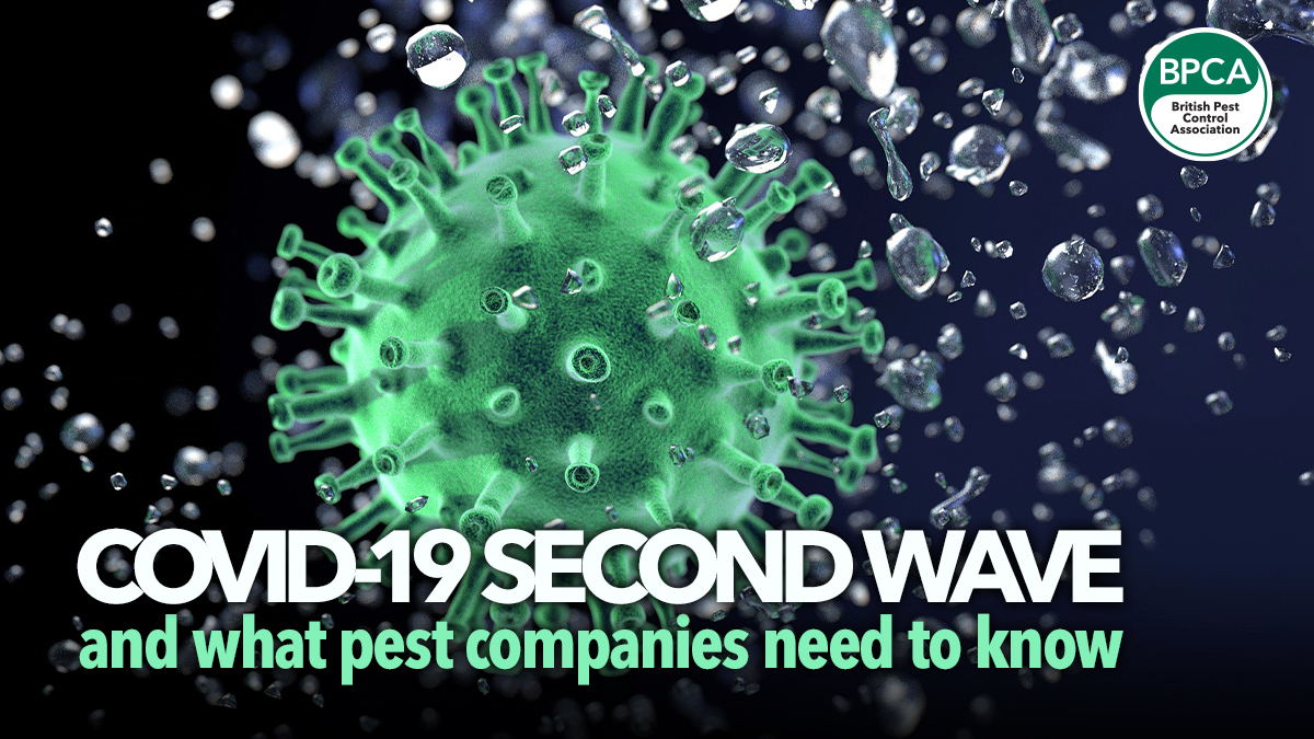 447 covid-19-second-lockdown-pest-management2 447 covid-19-second-lockdown-pest-management2